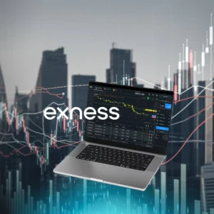 Where is Exness Located